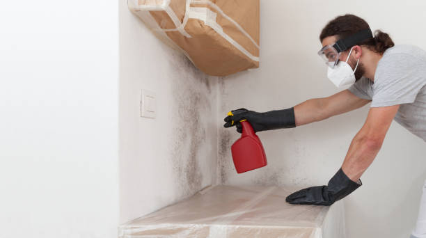Professional Crawl Space Mold Remediation technician working in Waverly, MI