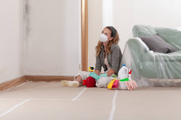 Reliable Crawl Space Mold Remediation contractor in Waverly, MI by 24 Hour Mold Removal